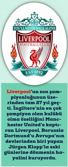 knoop liverpool