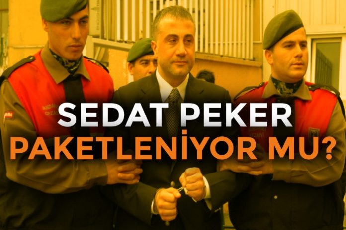 Sedat Peker Paketleniyor Mu Nobetci Editor Levent Kenez Tr724