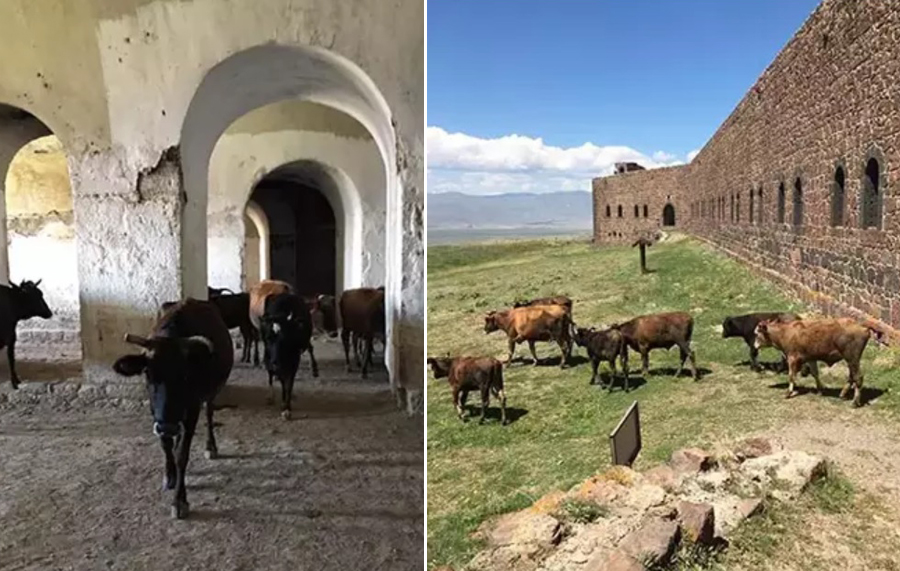 Erzurum'daki Mecidiye Tabyası, 'ahıra döndü' - Tr724